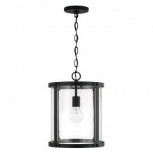 Capital 344911BI - 1 Light Pendant