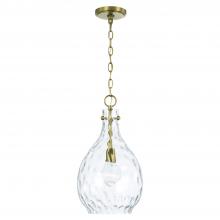 Capital 349012AD - 1-Light Pendant